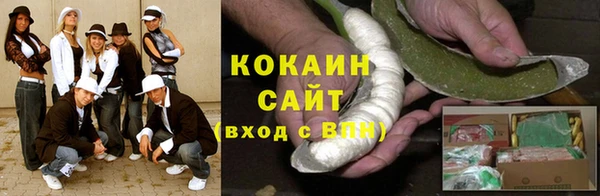 соль ск Алексин