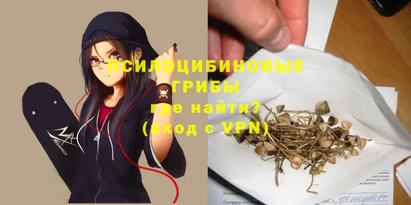 СК Алзамай