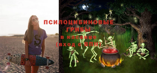 соль ск Алексин