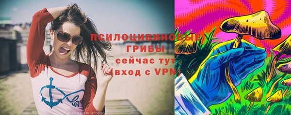 соль ск Алексин