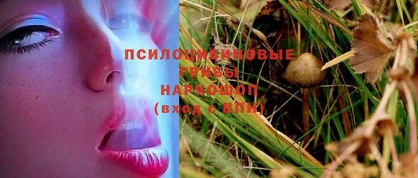 амф Алексеевка
