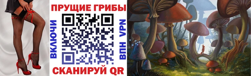 omg tor  Чёрмоз  Псилоцибиновые грибы MAGIC MUSHROOMS 